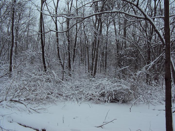 2010 006.jpg